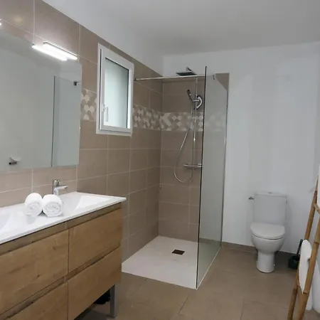 Les Edelweiss Fleurs Des Pyrenees